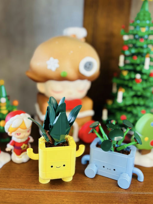 🪴【今年最火】【只要 $18】