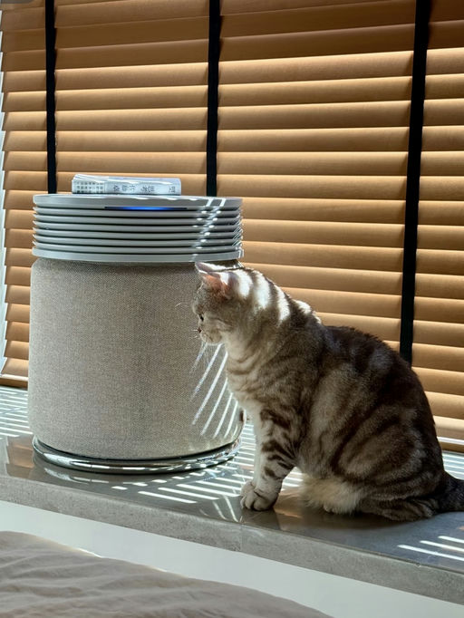 🍃【覆盖3385尺】【是净化器也是茶几】