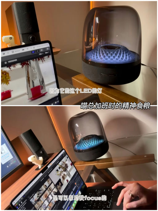 【终于5折了】哈曼卡顿当家款