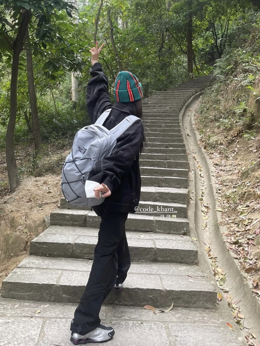 【Borealis 升级版】【$51，免运】