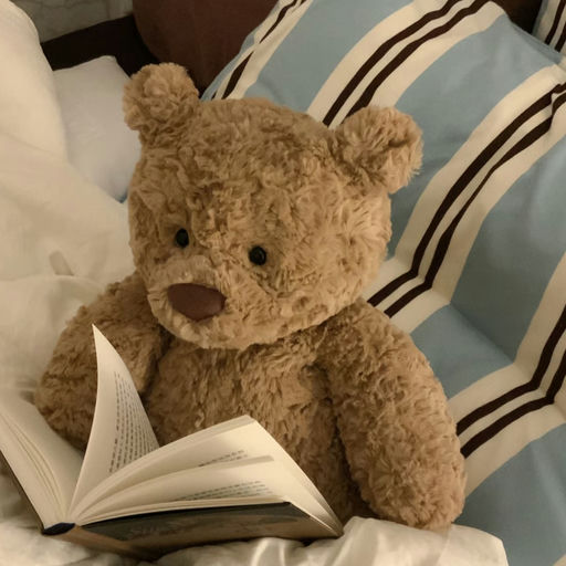 【最后一只】【Bug 价62折！】