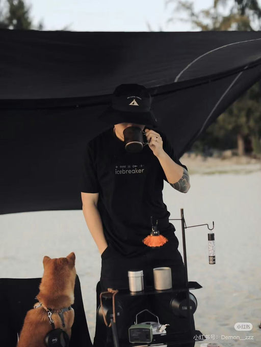 【喵喵推荐】Icebreaker美丽奴短袖，男款6折