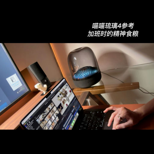 【黑五43折！】300+人抢购