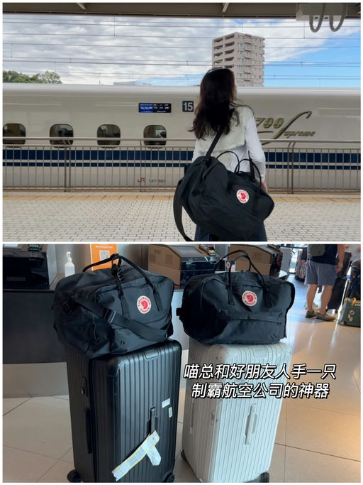 【最后2小时】喵总和好友人手一只