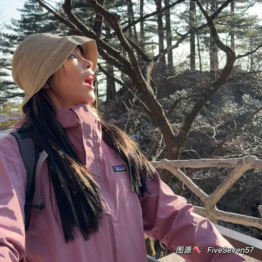 【教科书级别】喵喵力荐