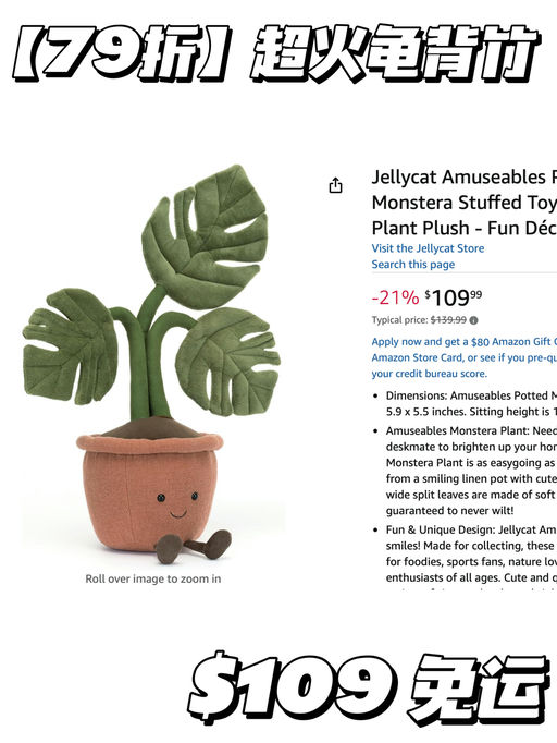 【靠抢！】79折龟背竹