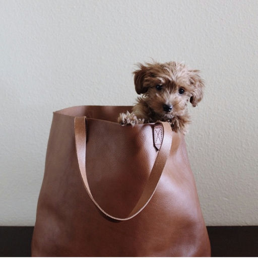 【Madewell 5折】【额外再减$15】