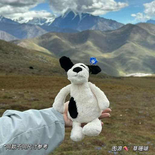 【断货王】突发补货