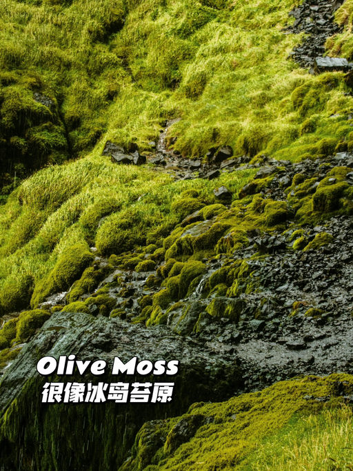 【冰岛苔原】新色保护期