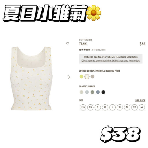 【夏日小雏菊】Skims新品上架