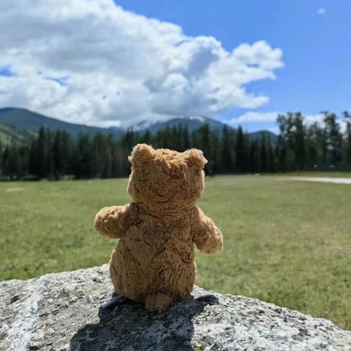 【最后一只】【Bug 价62折！】