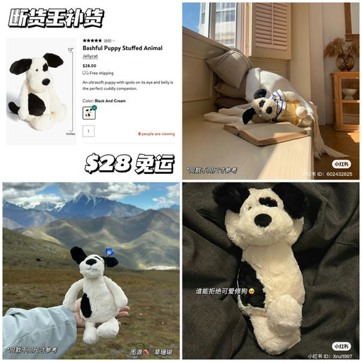 【断货王】突发补货