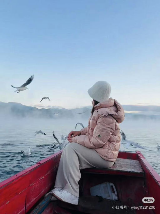 【活久见】【BUG价8折】Moncler Maire