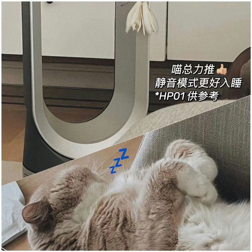 【即将截止】Dyson HP02，冷热风空气净化器