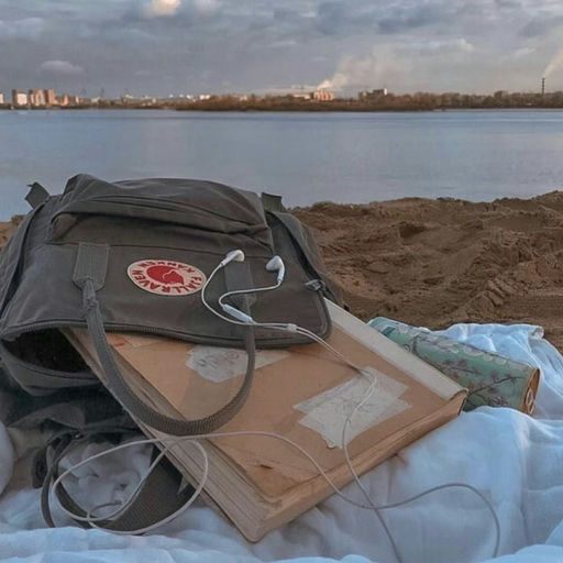 【7折回归】实用北极狐