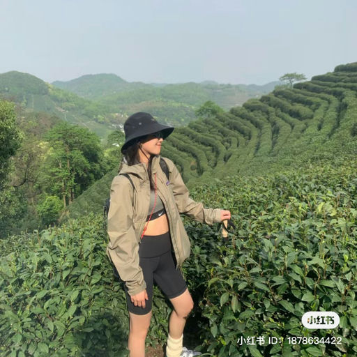 【教科书级别】喵喵力荐