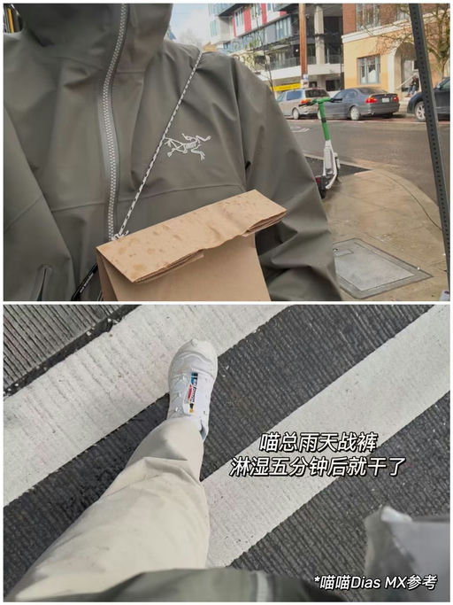 【美丽新色】喵总同款商鸟