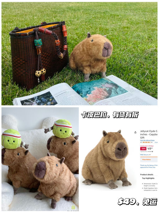 【豚门永存】 【首次有货有折】