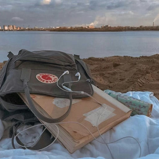 【难得7折】实用北极狐