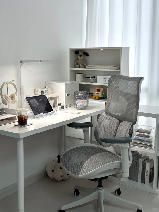 【$239，免运】【懂腰的人体工学椅】