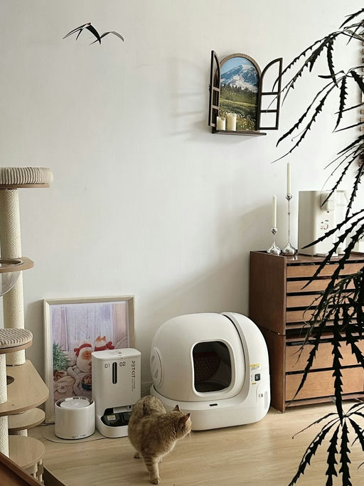 【喵总好评款】智能猫砂盆，直降$100