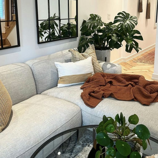 【极少库存】【2折！】