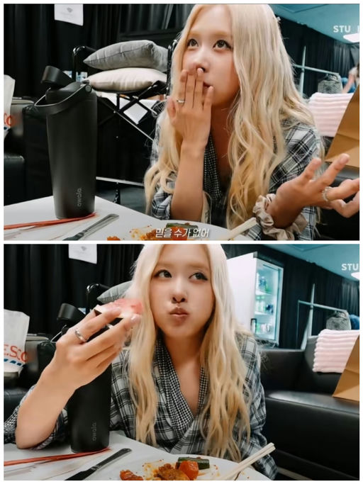 【$23，免运】【Rose同款】