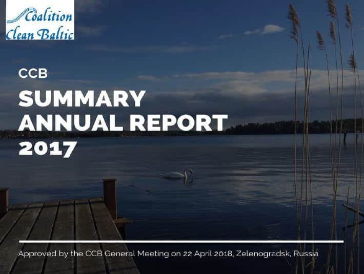 CCB Summary Annual Report 2017