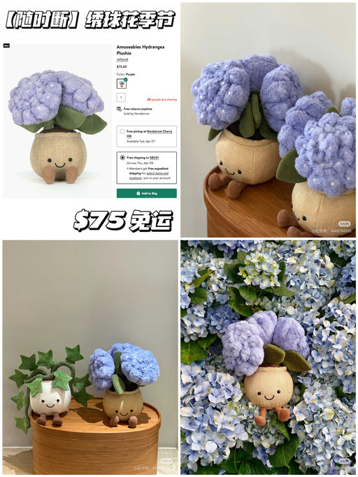 【随时断】绣球花季节