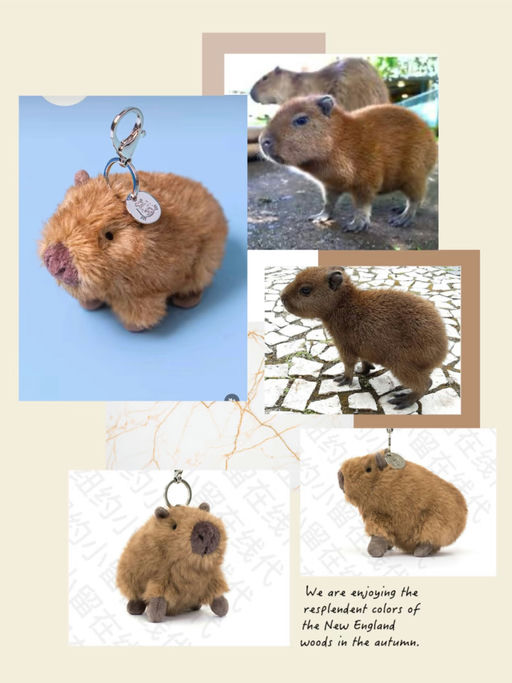 【好可爱啊】豚门粉丝看过来