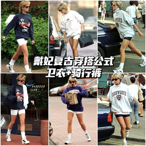 【要啥自行车】喵喵同色