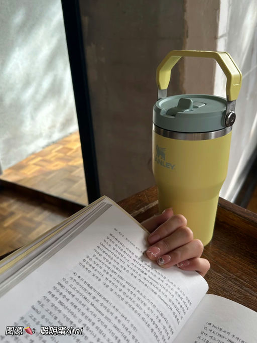 【5折Stanley】限时无门槛免运