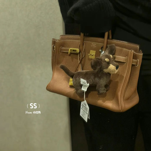 【哈基米补货啦】有腊肠/柯基