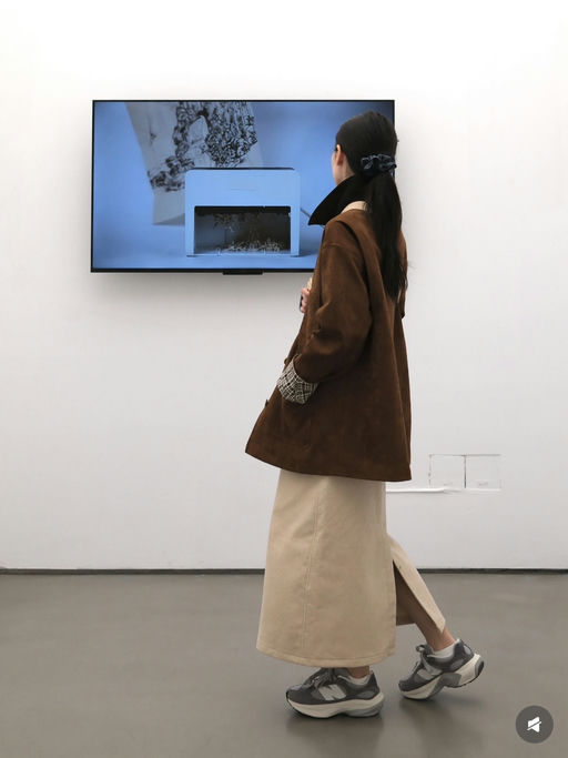 【NB 最火蛋壳鞋】 【$40，免运】  