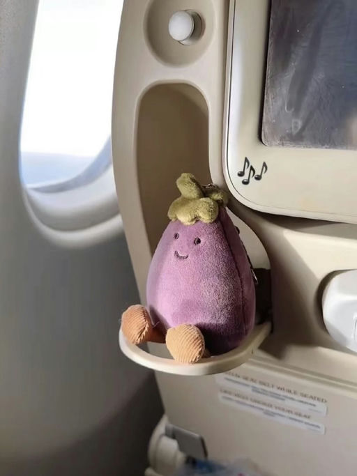 【茄总驾到】【有定优！】