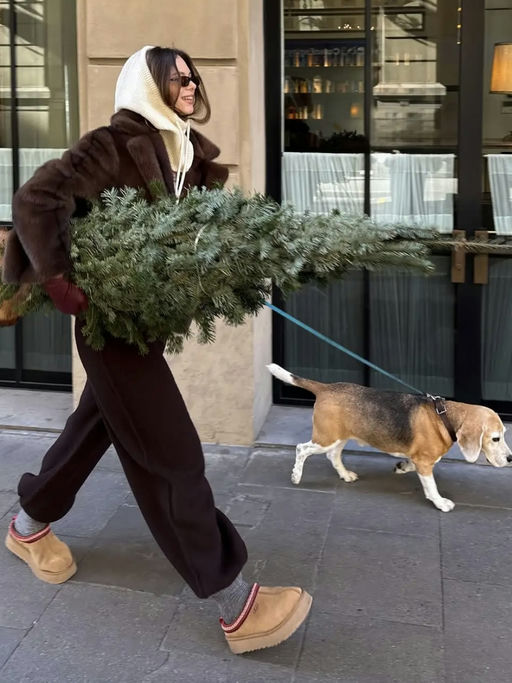 ❄️【Tazz 史低价】【只要 $100，免运】