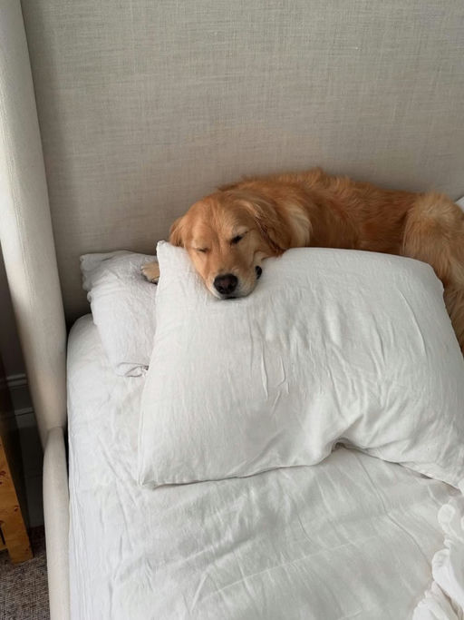 【再次大声播报】黑五力度