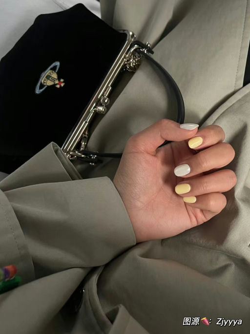 【史低范围】丝绒刺绣彩标