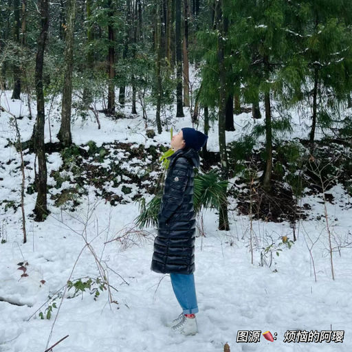 【大童款合5折】12/14Y库存紧俏