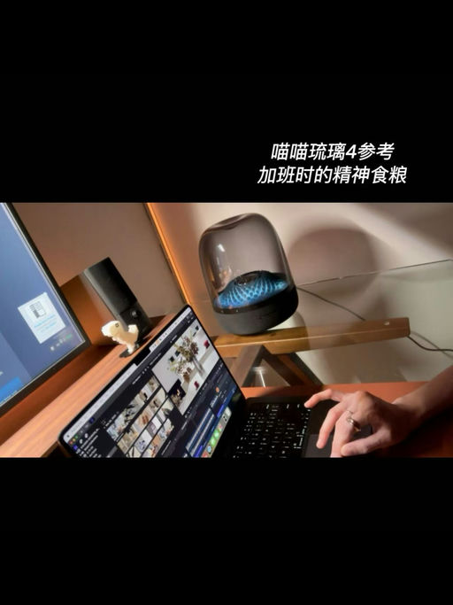 【全网最好价】58折，最后2只