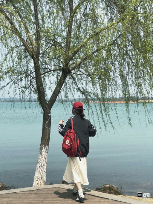 【33折】北极狐背包，$50