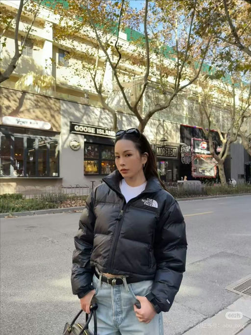 【爽快5折】TNF 经典Nuptse短款羽绒服