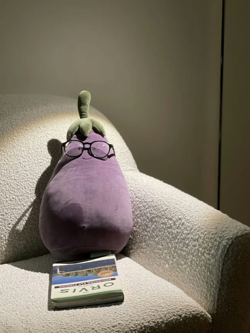 【Jellycat 茄总】【大号补货！】