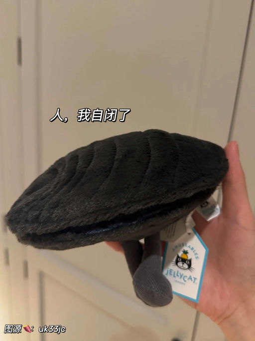 【藏珍珠的贻贝】