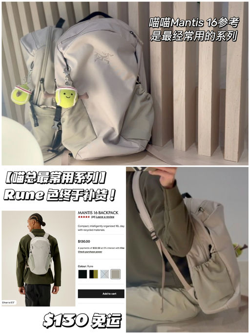 【补货简报】喵总同款