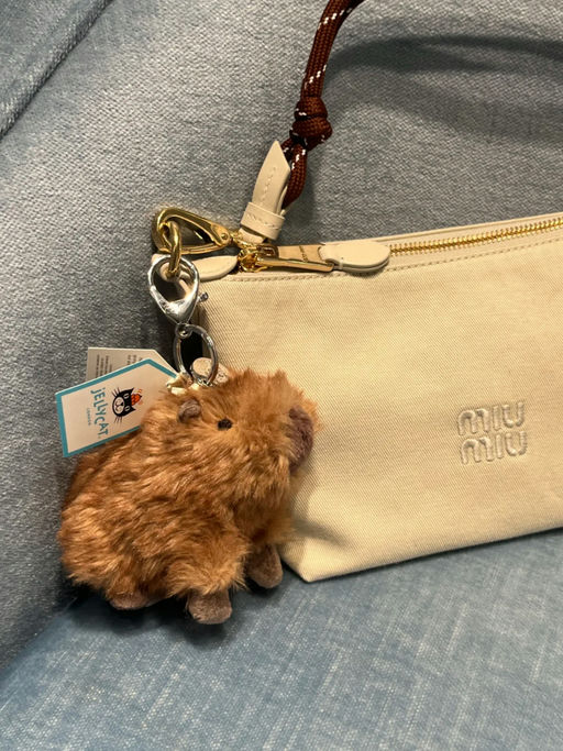 【好可爱啊】豚门粉丝看过来