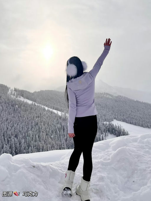 【小📕热门】金标丁香紫