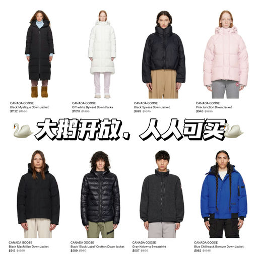 【人人可买】大鹅6折起