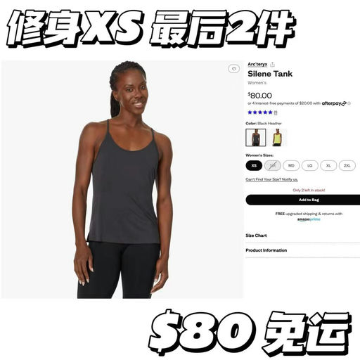 【喵总视频同款】【最后几件】始祖鸟Silene解构感背心