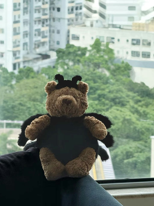 【【随时断】蜘蛛巴塞罗补货！